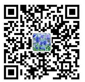 圖片8.png 圖片8.png